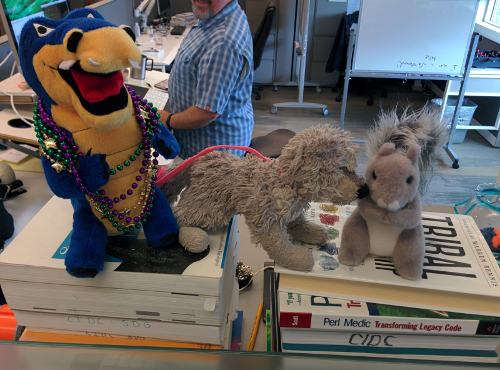 Husk makes new friends - Ally the gator, and Squirrel